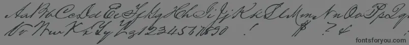 Houstonpen Font – Black Fonts on Gray Background