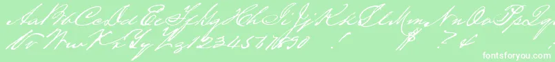 Houstonpen-Schriftart – Weiße Schriften auf grünem Hintergrund