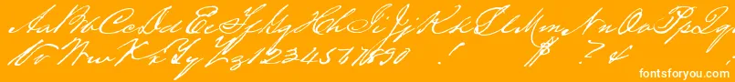 Houstonpen Font – White Fonts on Orange Background