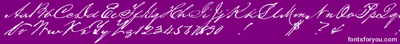 Houstonpen-Schriftart – Weiße Schriften auf violettem Hintergrund