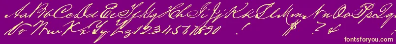 Houstonpen Font – Yellow Fonts on Purple Background