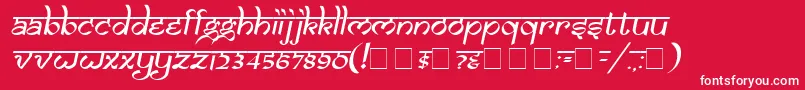 フォントSamarkanOblique – 赤い背景に白い文字