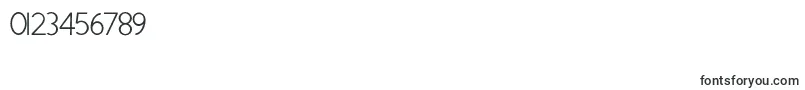 ShaunaRegular Font – Fonts for Numbers and Digits