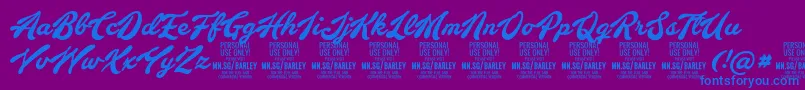 BarleyscriptPersonalUse Font – Blue Fonts on Purple Background