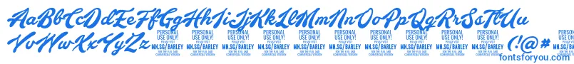 BarleyscriptPersonalUse Font – Blue Fonts on White Background
