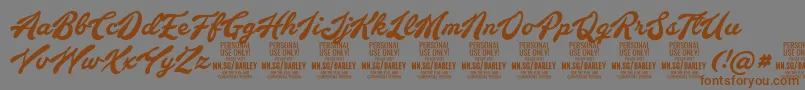 BarleyscriptPersonalUse Font – Brown Fonts on Gray Background