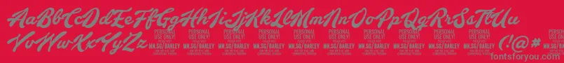 BarleyscriptPersonalUse Font – Gray Fonts on Red Background