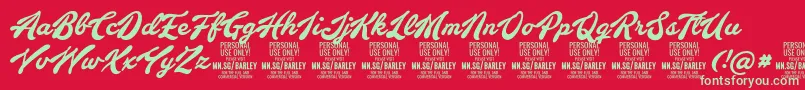 Czcionka BarleyscriptPersonalUse – zielone czcionki na czerwonym tle