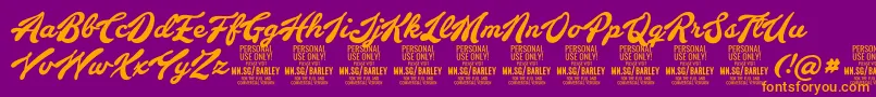 BarleyscriptPersonalUse Font – Orange Fonts on Purple Background