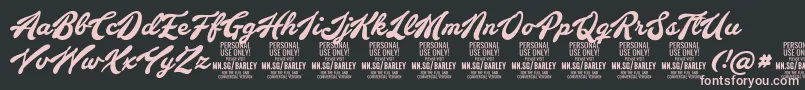 BarleyscriptPersonalUse Font – Pink Fonts on Black Background