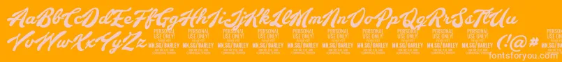 BarleyscriptPersonalUse-Schriftart – Rosa Schriften auf orangefarbenem Hintergrund