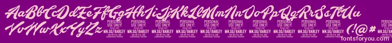 BarleyscriptPersonalUse Font – Pink Fonts on Purple Background