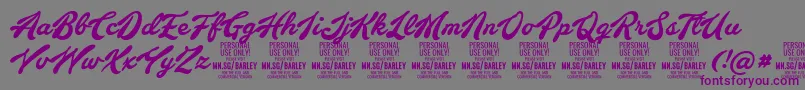 BarleyscriptPersonalUse Font – Purple Fonts on Gray Background