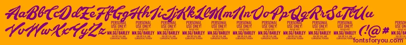BarleyscriptPersonalUse Font – Purple Fonts on Orange Background