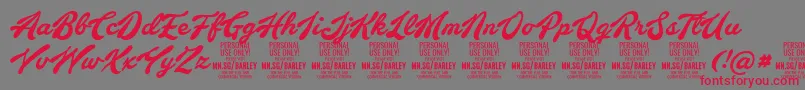BarleyscriptPersonalUse Font – Red Fonts on Gray Background