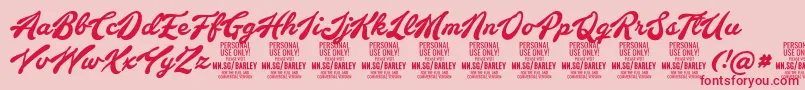 BarleyscriptPersonalUse-Schriftart – Rote Schriften auf rosa Hintergrund