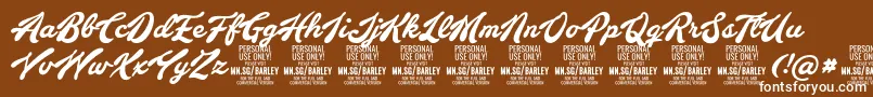 BarleyscriptPersonalUse Font – White Fonts on Brown Background