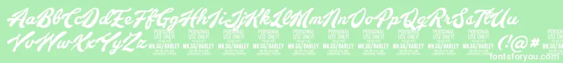 BarleyscriptPersonalUse Font – White Fonts on Green Background