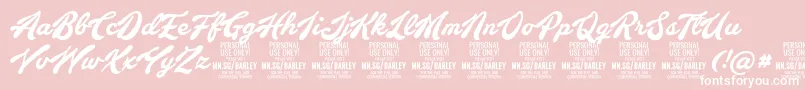 BarleyscriptPersonalUse Font – White Fonts on Pink Background