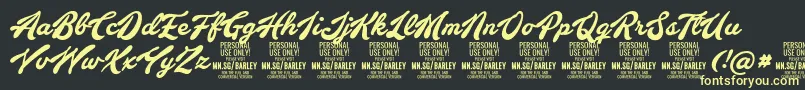 BarleyscriptPersonalUse Font – Yellow Fonts on Black Background