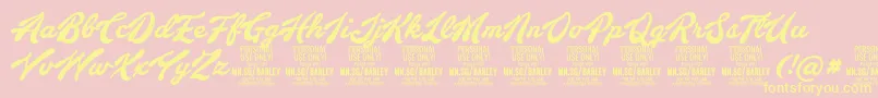 BarleyscriptPersonalUse Font – Yellow Fonts on Pink Background