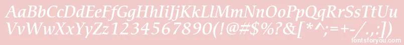 CerigostdMediumitalic Font – White Fonts on Pink Background