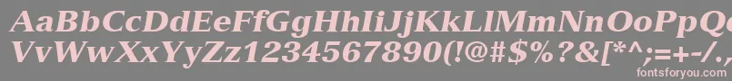 VersaillesLt96BlackItalic Font – Pink Fonts on Gray Background