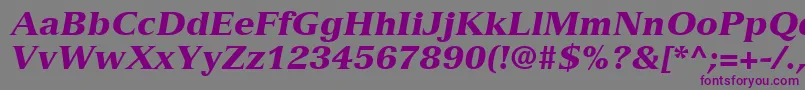 VersaillesLt96BlackItalic Font – Purple Fonts on Gray Background