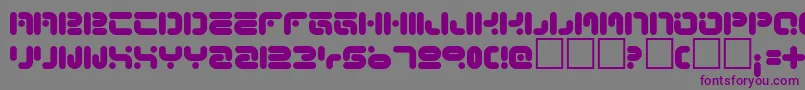 FunkyKnutSober-Schriftart – Violette Schriften auf grauem Hintergrund