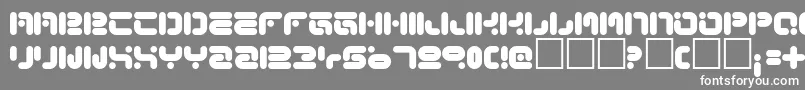 FunkyKnutSober Font – White Fonts on Gray Background