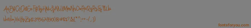 Police AlleanaScript – polices brunes sur fond gris