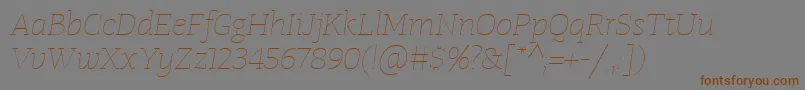 Шрифт TangerserifwideUltralightitalic – коричневые шрифты на сером фоне