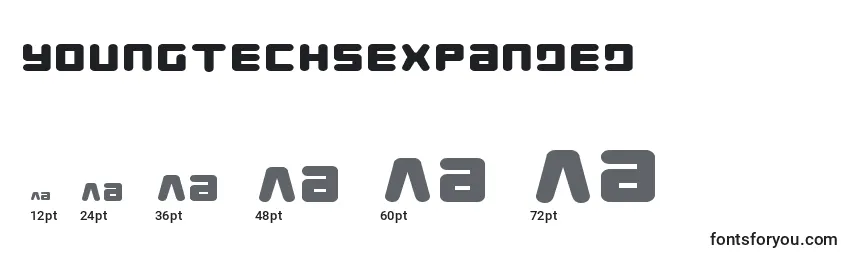 Размеры шрифта YoungTechsExpanded
