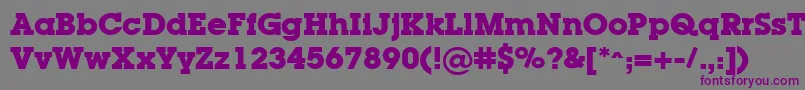 LugaBold Font – Purple Fonts on Gray Background