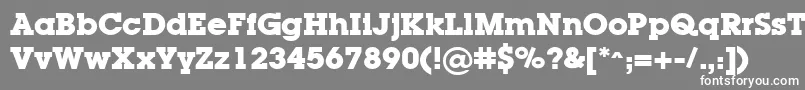 フォントLugaBold – 灰色の背景に白い文字