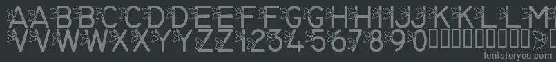 Шрифт LmsJollyHollyday – серые шрифты на чёрном фоне