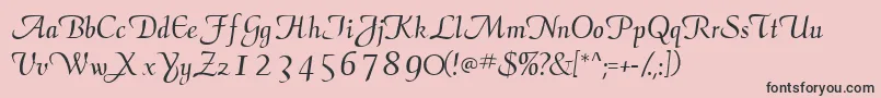 Elegansscriptssk Font – Black Fonts on Pink Background