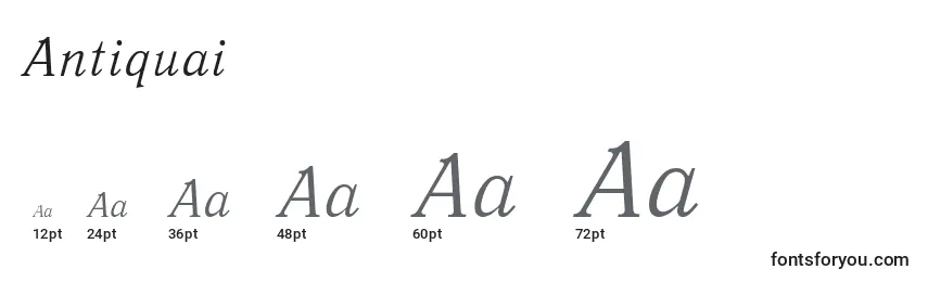 Размеры шрифта Antiquai
