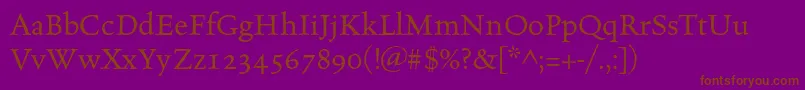 Celestiaantiquastd Font – Brown Fonts on Purple Background