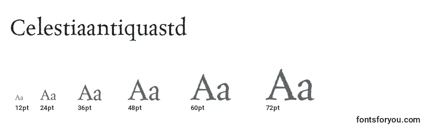 Celestiaantiquastd Font Sizes