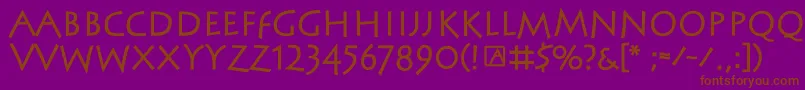 SteinantikBold Font – Brown Fonts on Purple Background