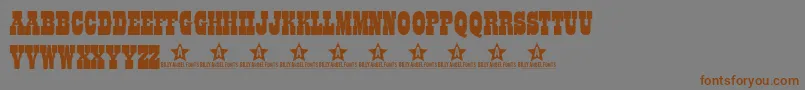 Coltfont Font – Brown Fonts on Gray Background