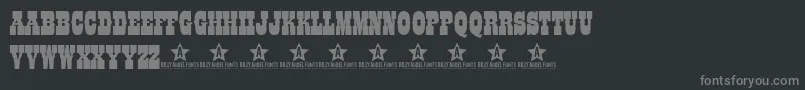 Coltfont Font – Gray Fonts on Black Background