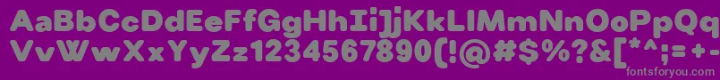 VillerayroundedBlack Font – Gray Fonts on Purple Background