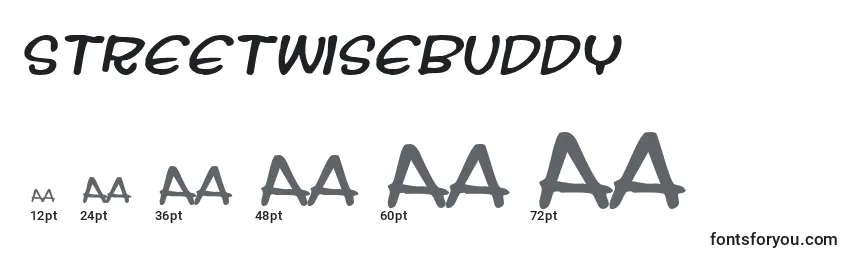 Streetwisebuddy Font Sizes