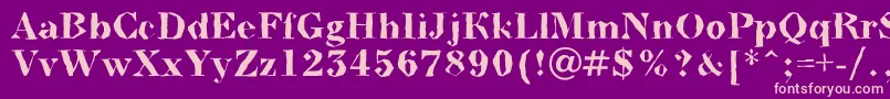 BodoninovabrkBold Font – Pink Fonts on Purple Background
