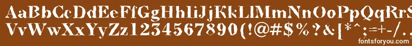 BodoninovabrkBold Font – White Fonts on Brown Background