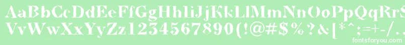 BodoninovabrkBold Font – White Fonts on Green Background