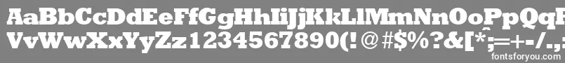 フォントRambaultXboldRegular – 灰色の背景に白い文字