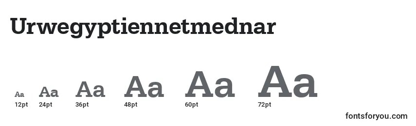 Размеры шрифта Urwegyptiennetmednar